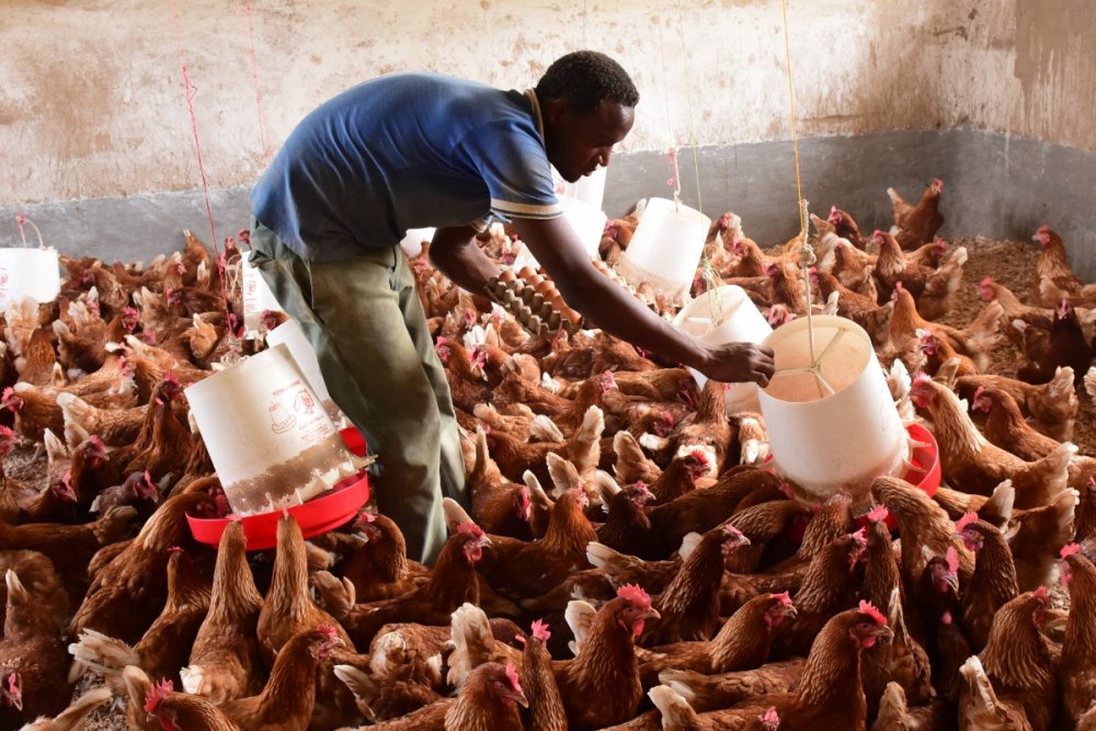 Hatangijwe ikigega cya miliyoni 500 Frw kigamije gufasha imishinga y’urubyiruko yazahajwe na Covid-19